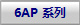 6AP ϵ